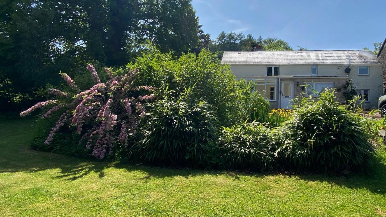 Silhouette Cottage Колефорд Экстерьер фото